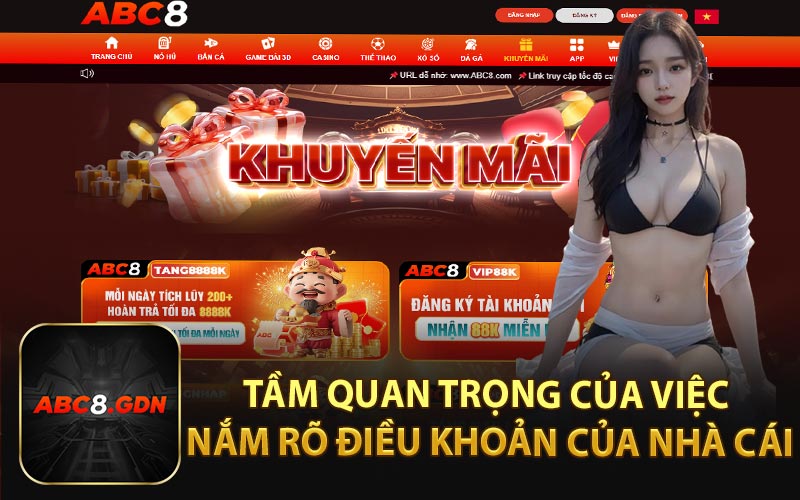 Tầm Quan Trọng Của Việc Nắm Rõ Điều Khoản Của Nhà Cái